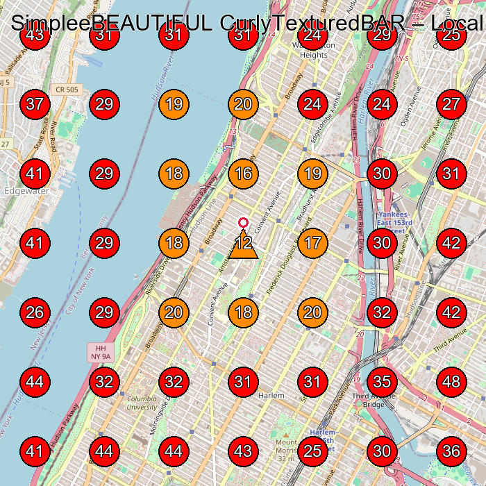 SimpleeBEAUTIFUL CurlyTexturedBAR GeoGrid visibility map for Hair Salon in New York